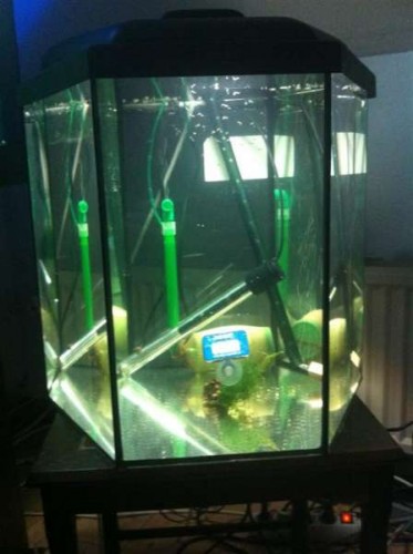 IMG_0136 (Large).jpg