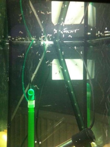 IMG_0137 (Large).jpg