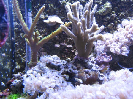 IMG_1085.JPG
