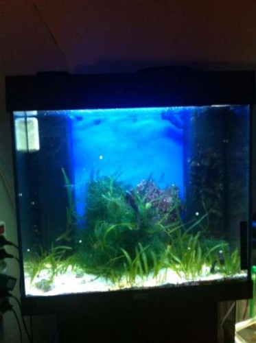 IMG_0138 (Large).jpg