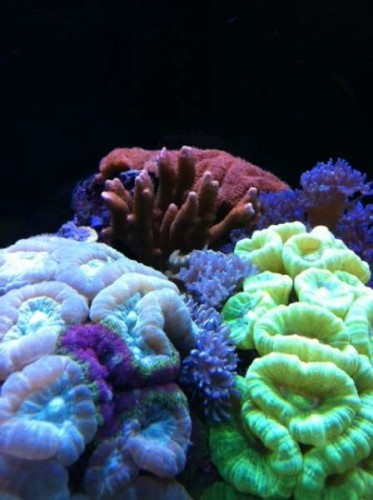 foto16.JPG