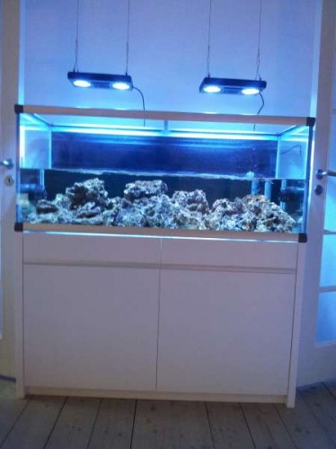 20111220_130602.jpg