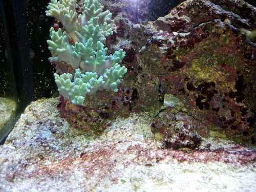 20111220_210728.jpg