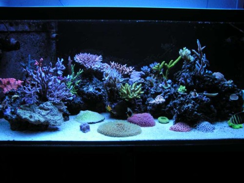 PICT0022.JPG