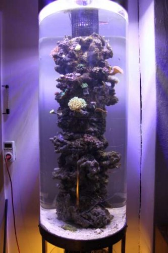 Uge 12 (51).JPG