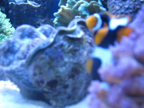 IMG_3151.jpg