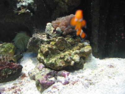 IMG_2416.JPG