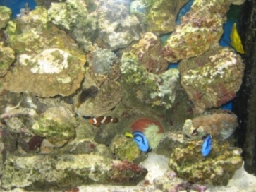 IMG_2392.JPG