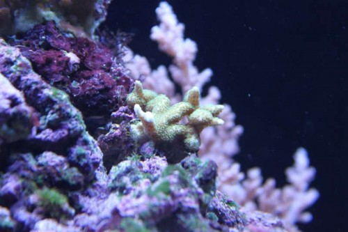 IMG_9738.JPG