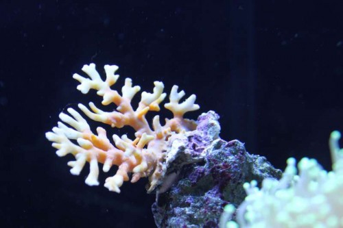IMG_9746.JPG