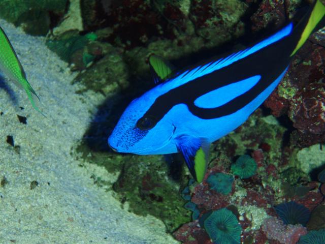 P1103652 (Small).JPG