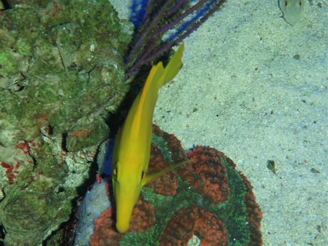 P1103671 (Small).JPG