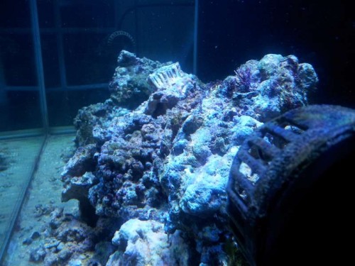 20120111_165708.jpg