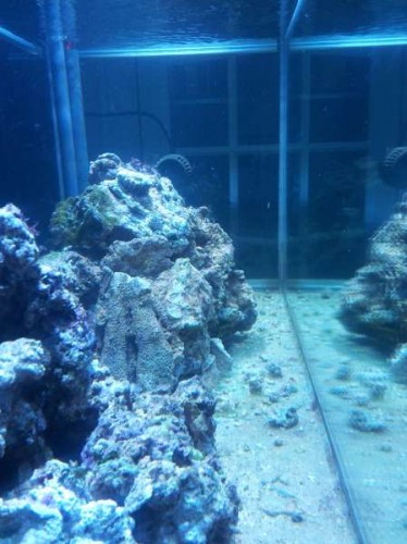 20120111_165624.jpg