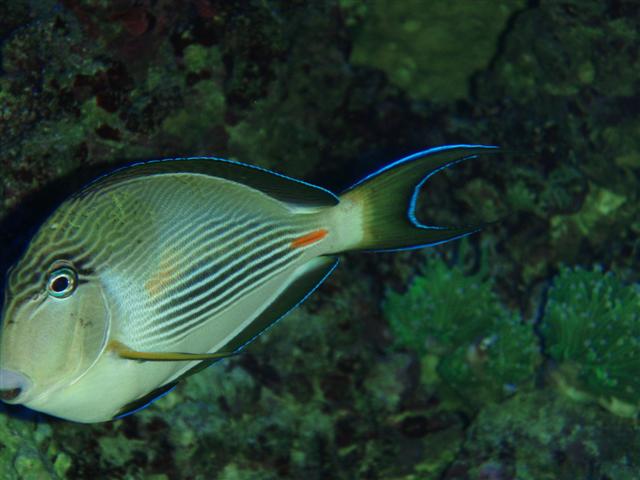 P1103674 (Small).JPG