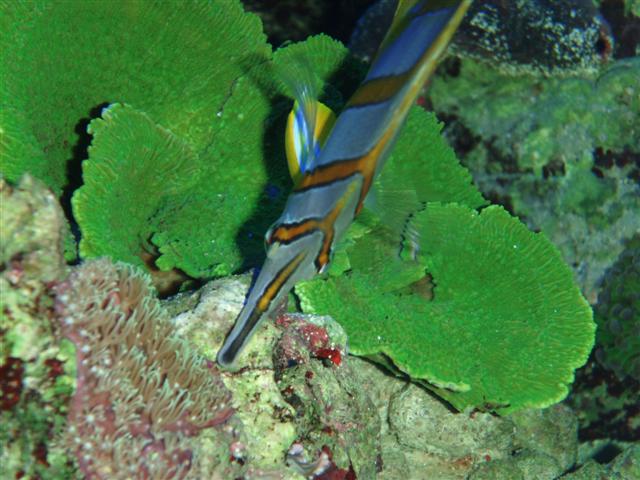 P1103676 (Small).JPG
