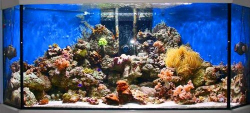 test.jpg (50.61 KiB) Vist 2634 gange 3 x 250 watt i 700 L