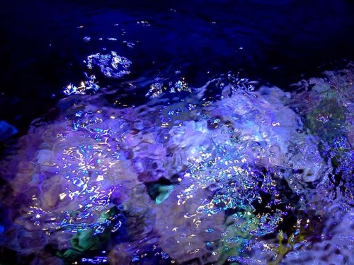 Overfladen set oppefra...