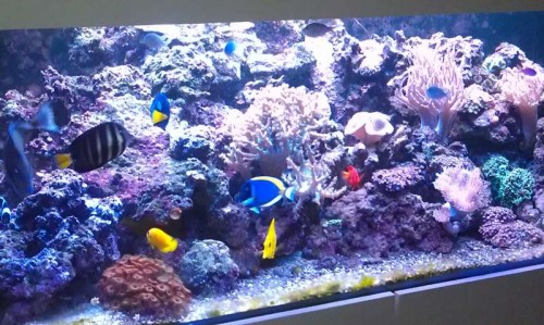 IMAG0109.jpg