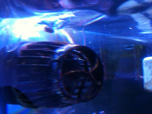 Ringe billede af MP10 shield