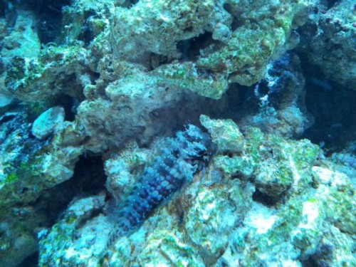 20120118_213301.jpg
