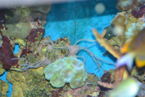 DSC_0032 (Medium).JPG