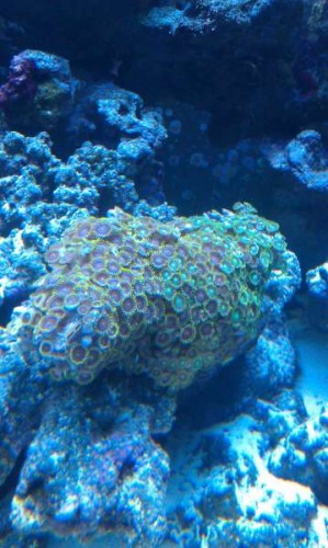 IMAG0115.jpg