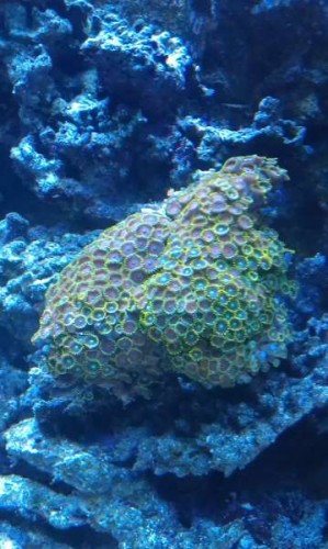 IMAG0116.jpg