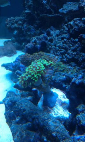 IMAG0117.jpg