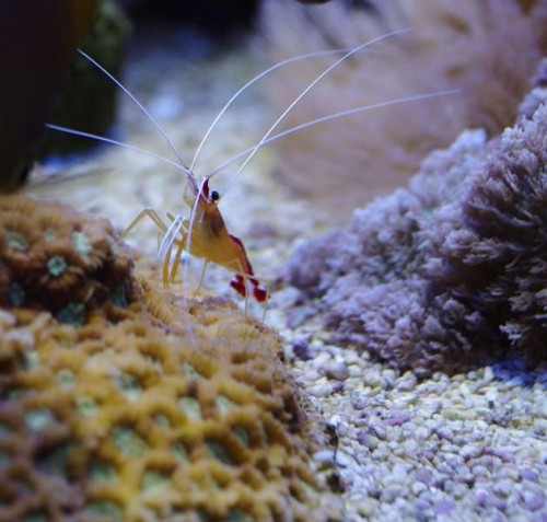 _IGP4147.JPG
