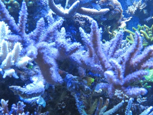 IMG_3314.jpg