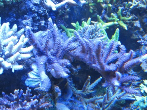 IMG_3312.jpg