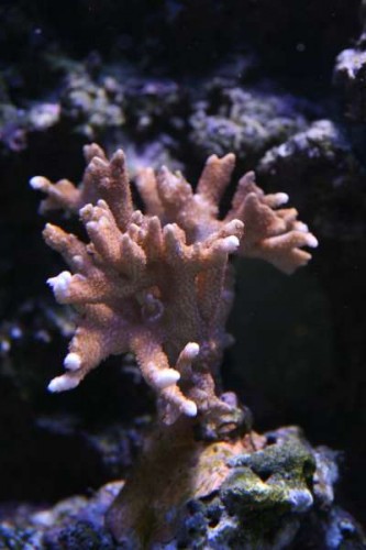 IMG_5467.JPG