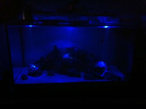 IMG_0178.jpg