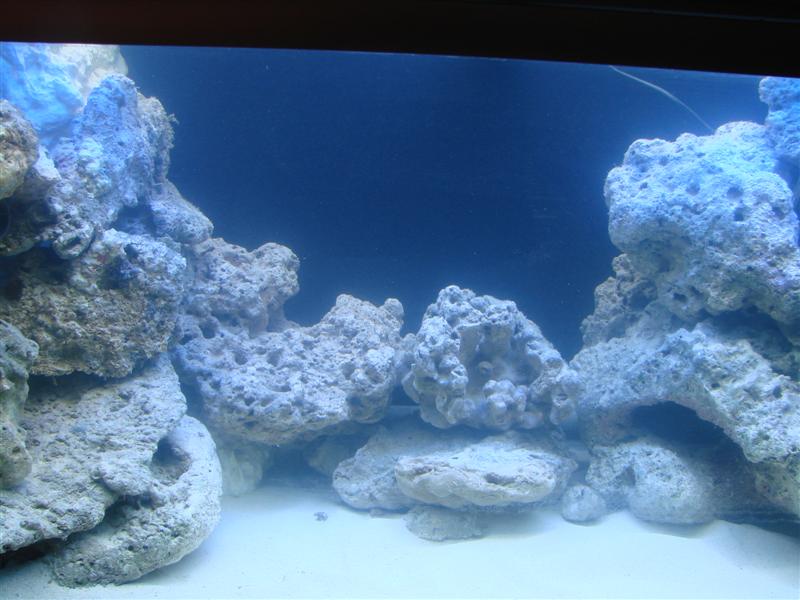 Midten (Medium).jpg