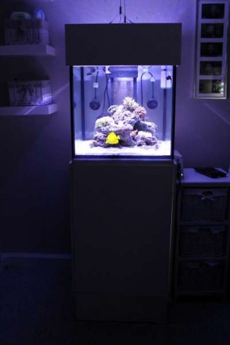 Akvarie<br />Akvarie