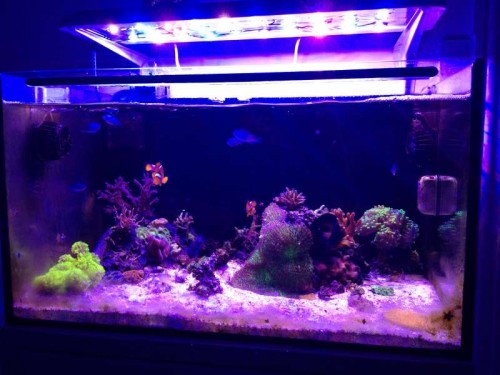 FTS