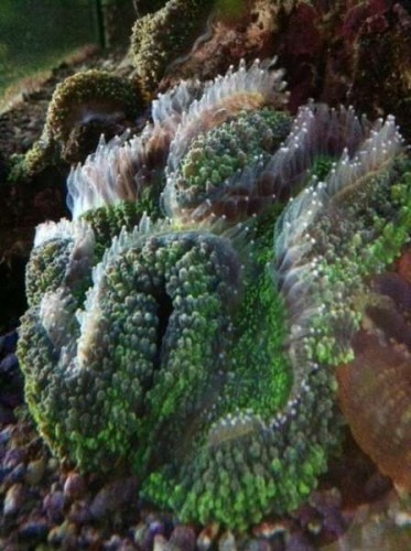 foto7.JPG