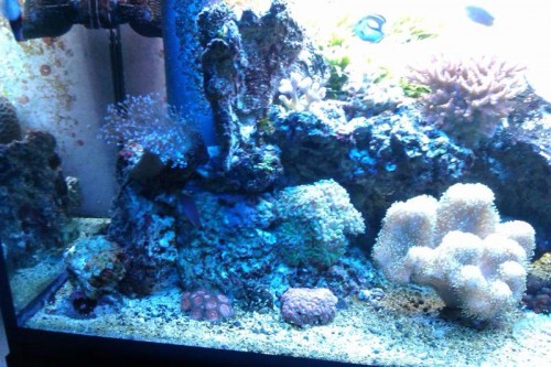 IMAG0115.jpg
