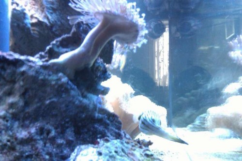 IMAG0118.jpg