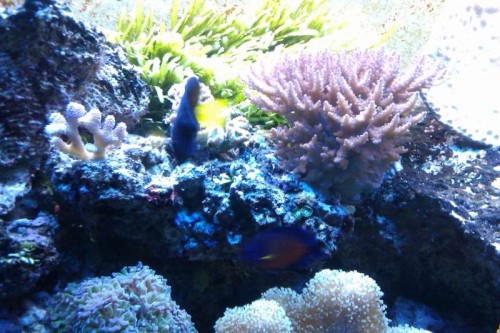 IMAG0120.jpg