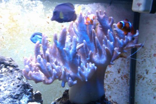 IMAG0122.jpg