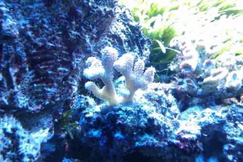 IMAG0124.jpg