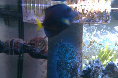 IMAG0128.jpg