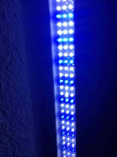 Photo 14-02-12 18.58.56.jpg