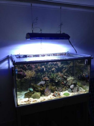 Den nye lampe er hængt op.