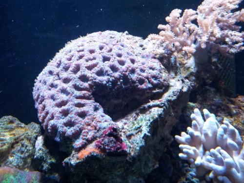 20120220_184436.jpg