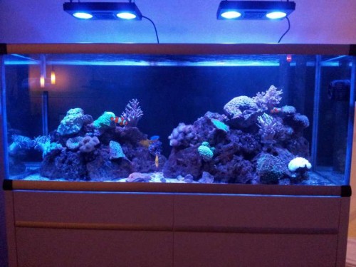 20120220_194933.jpg