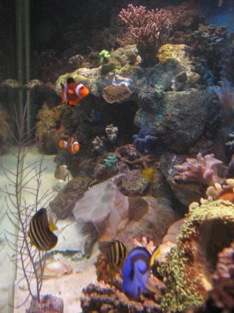 IMG_2672.jpg