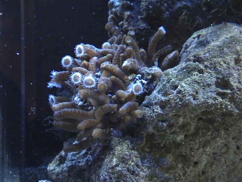 DSC00001 (Medium).JPG